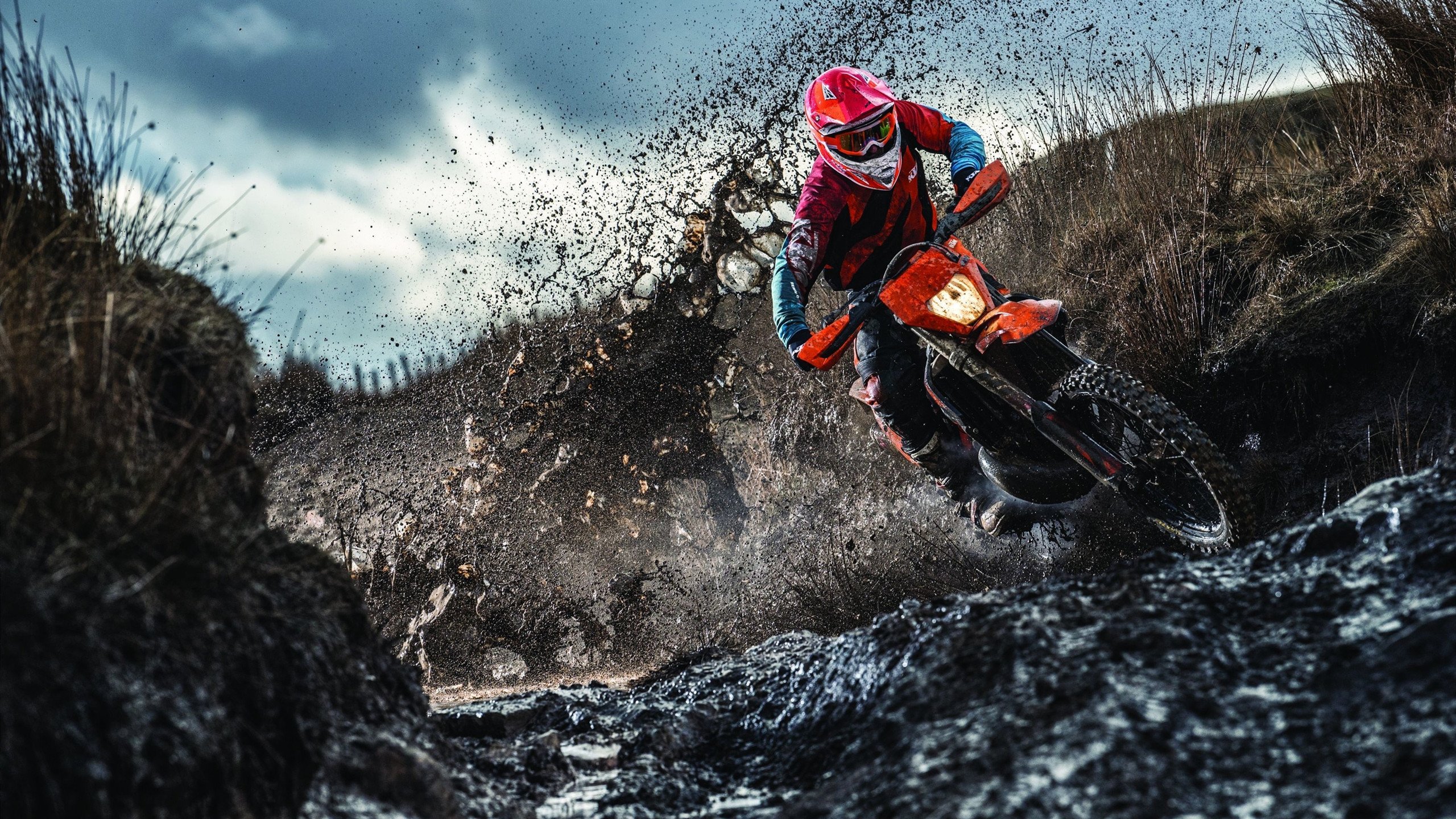 塞内加尔传统马术赛事“Lamb”在2024年成功举办,吸引众多观众参与。