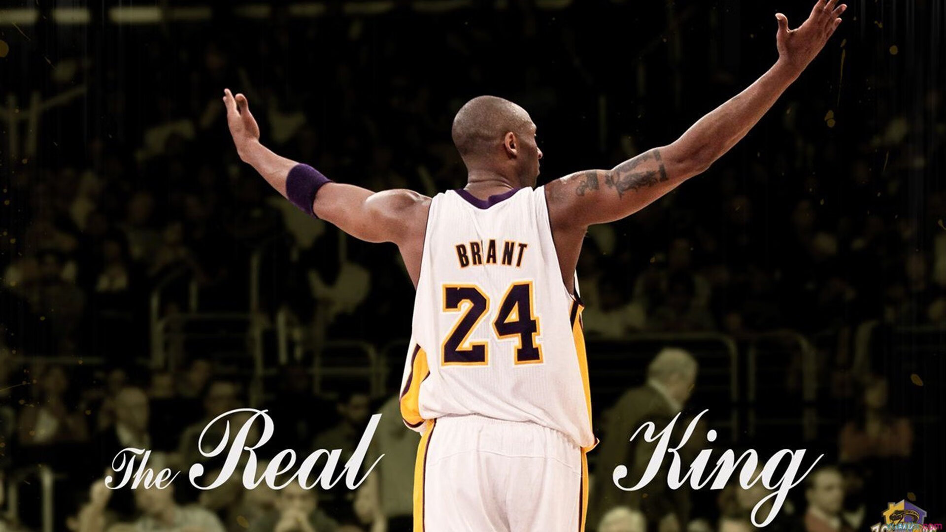 特色青训“智能化+专业化”行业深度融合，行业实力持续增强